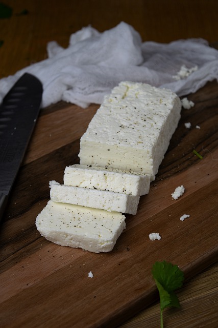 how to make homemade paneer